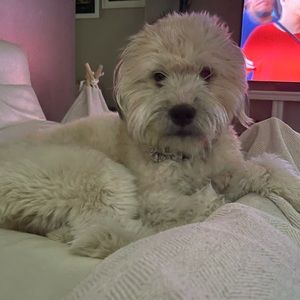 Meet your Posher, Bianca